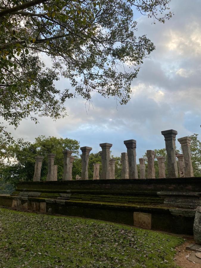 Royal Nest Bed and Breakfast Polonnaruwa Buitenkant foto